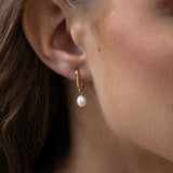 MAEVE hoops