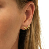 HOLLY studs