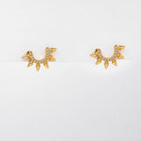 HOLLY studs