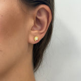 VINA studs
